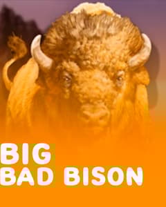 Big Bad Bison
