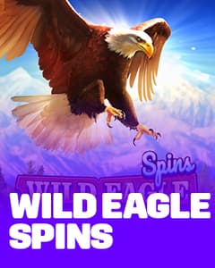 Wild Eagle Spins
