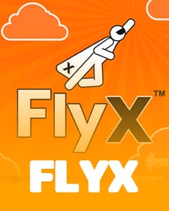 FlyX