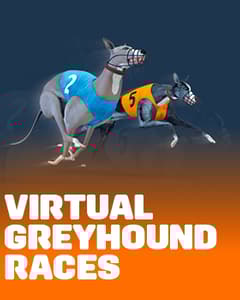 Virtual Greyhound Races