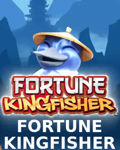 Fortune Kingfisher