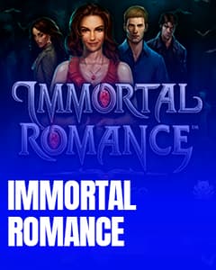 Immortal Romance Video Bingo